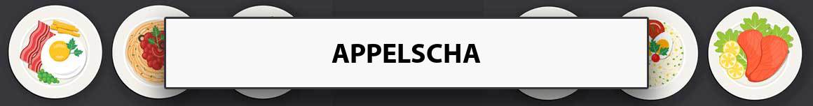 maaltijdservice-appelscha